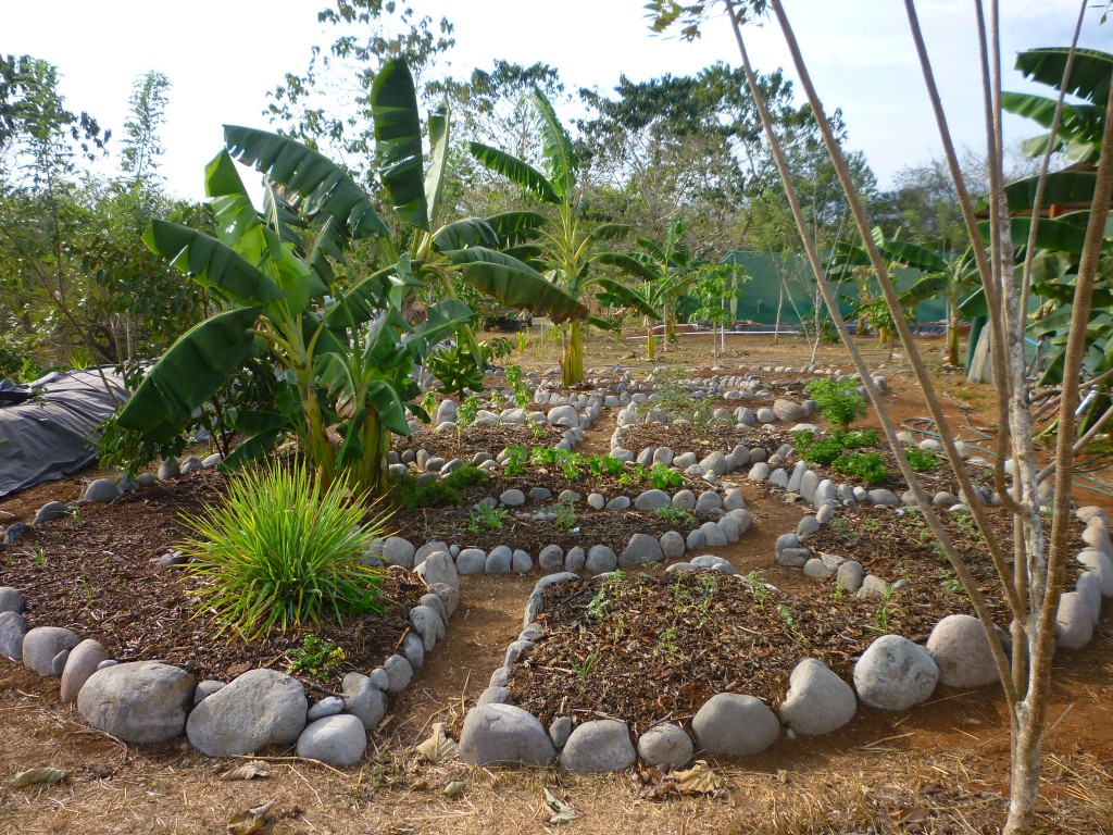 Mandala Keyhole Herb Garden