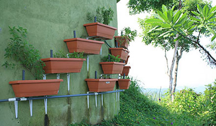 Aquaponic Herb Garden in Costa Rica