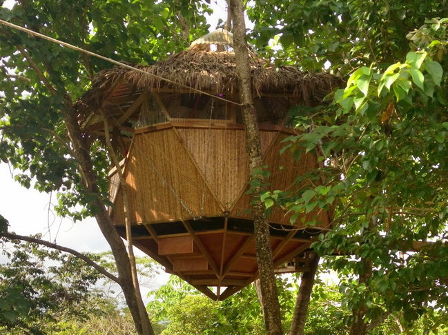 treehouse front 650