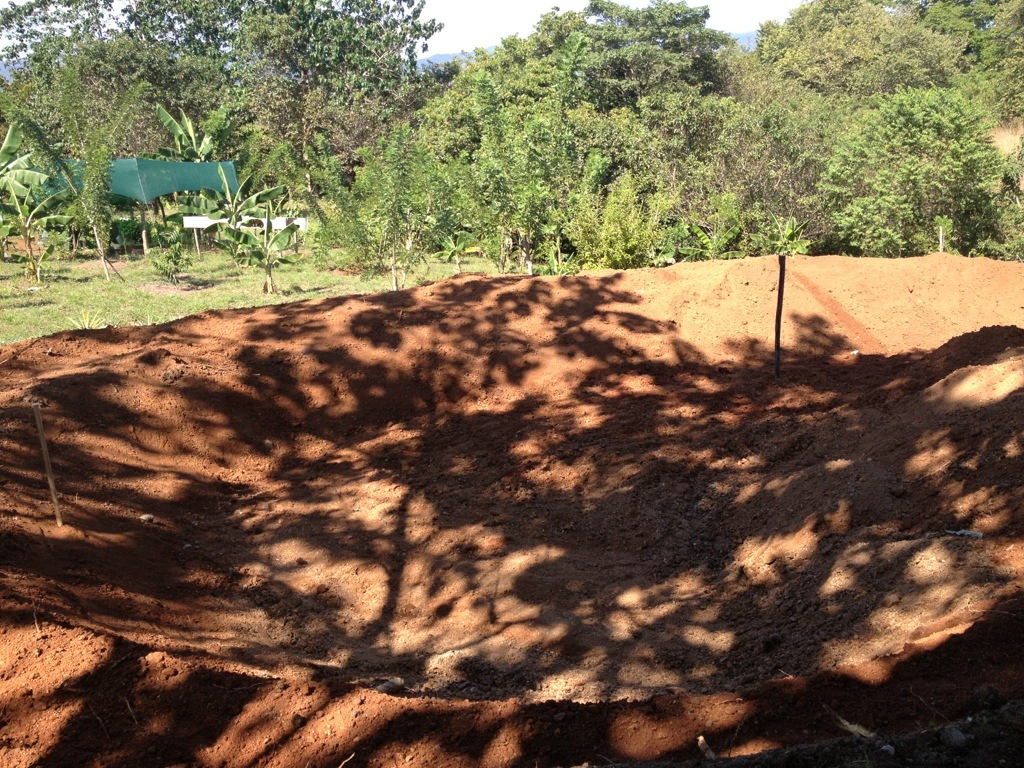 Costa Rica Tilapia Pond Construction