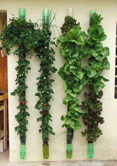 Vertical wall herb garden project