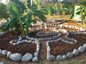 Rocks lining circular herbs garden