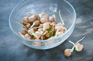 Small glass bowl with about a dozen sprouted chickpeas