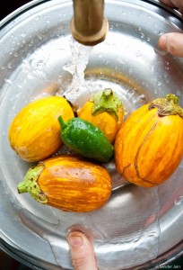 washing fresh eggplants for sauce