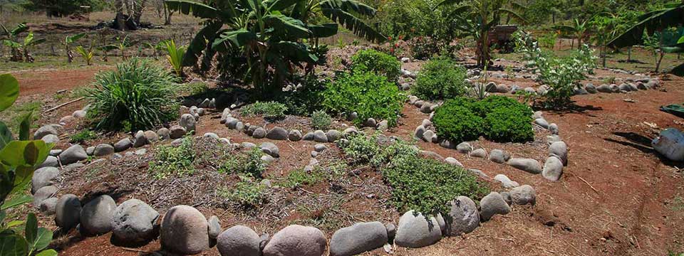 Mandala Keyhole Garden