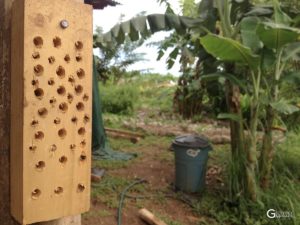 Artificial Wasp Nest