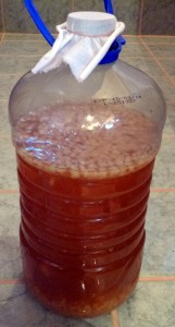 Step 1 - Water Kefir Soda, 6L jug