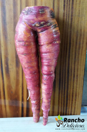 The World's Sexiest Carrot