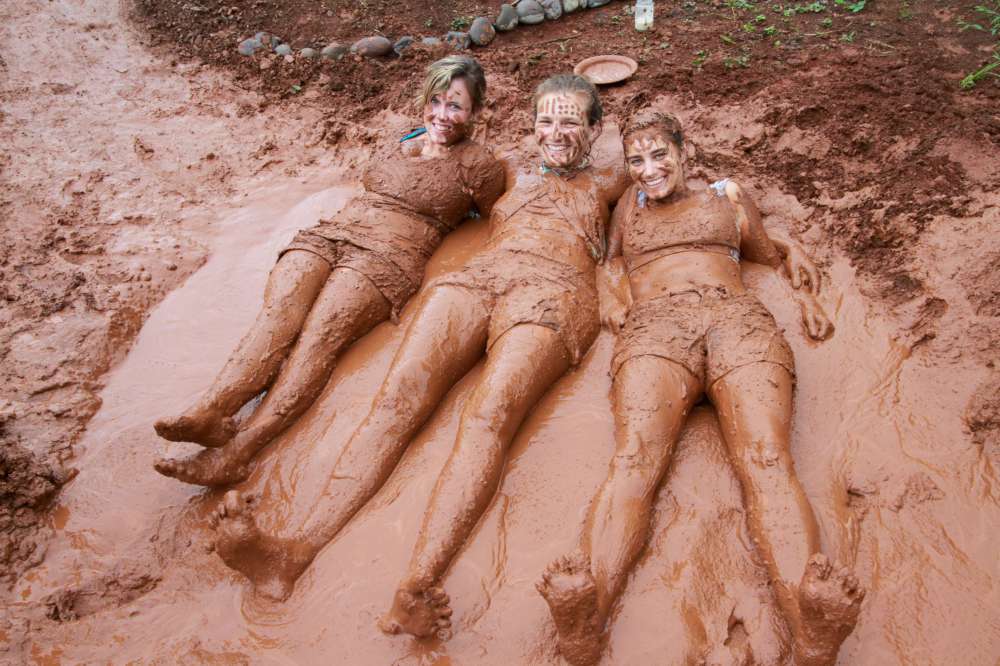 Mud Skippers.