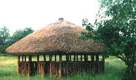 Vetiver roof hut
