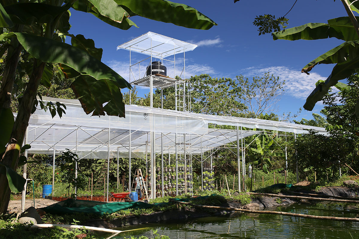 Hydroponics Greenhouse