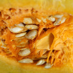 Pumpkin Seeds