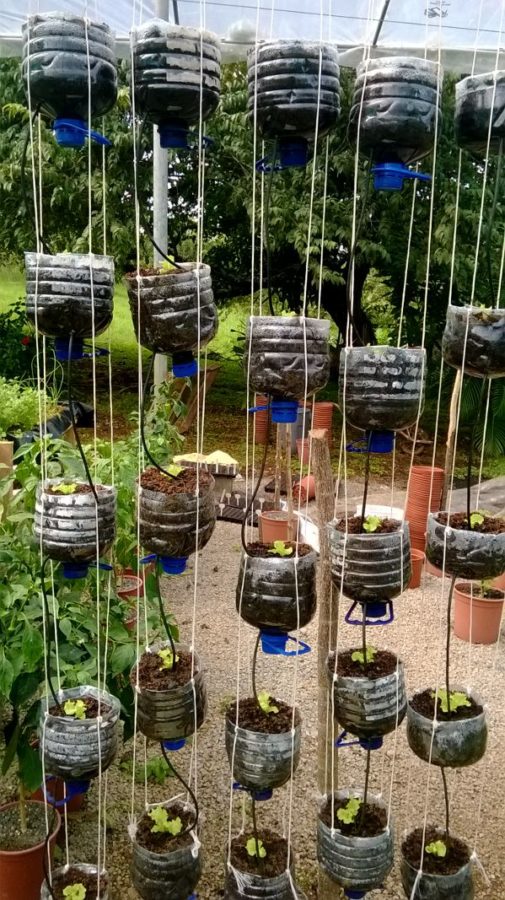 Vertical hydroponics garden made from recycled water bottles.
