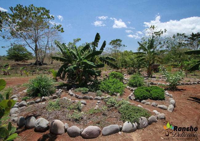 Mandala Keyhole Herb Gardens