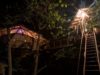 josephs-treehouse-at-night