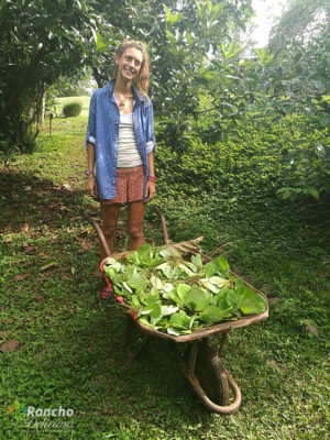 Water plants for carbon sequestration