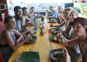 Organic Food Lunch