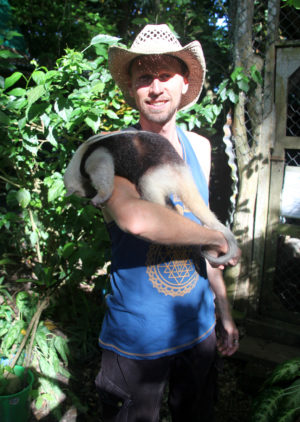 Man Holding Anteater